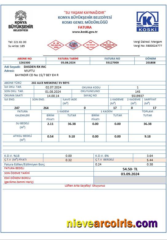 Turkey water business utility bill